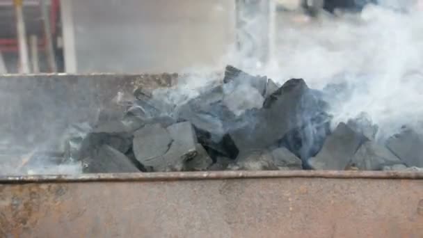 Spousta velkých uhlí leží na pánev a kouř — Stock video