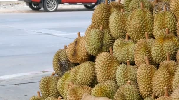 Durian steht auf der Theke eines Straßenladens. exotische Früchte aus Thailand und Asien. der König der thailändischen Früchte, tropische Früchte. — Stockvideo