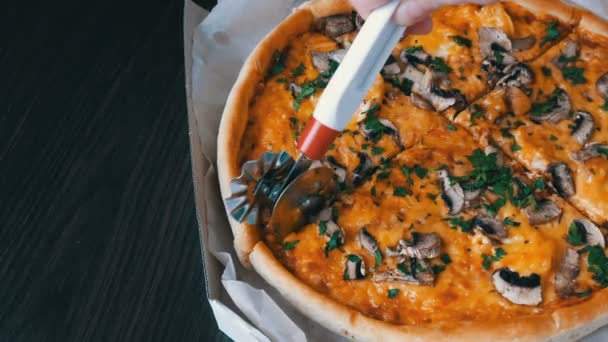 Faca de pizza corta pizza redonda com os verdes, frango, cogumelos e queijo duplo, vista de perto — Vídeo de Stock