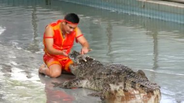 Pattaya, Tayland - 30 Aralık 2017: Timsah göstermek. Eğitmen timsah ile performans gösterir