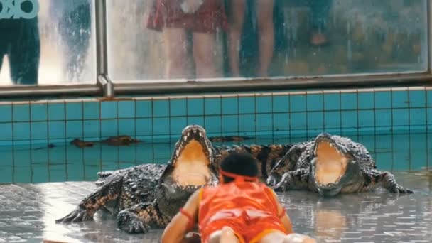 Паттайя, Таїланд - 30 грудня 2017: Тваринний тренер робить шоу з крокодили. Крокодилової ферма Паттайя, Таїланд. — стокове відео