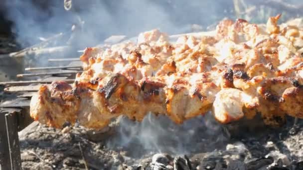 Muchos trozos de carne en los pinchos se tuestan en una hoguera. Un shish kebab o carne a la parrilla se asa en la naturaleza. La grasa fluye por la carne. Un picnic en el campo — Vídeos de Stock