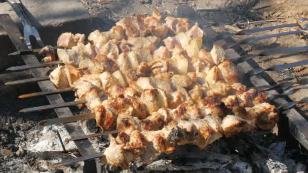 Много мяса на шашлыках жарят на костре. Шашлык или мясо на гриле жарят в природе. Пикник в деревне — стоковое видео