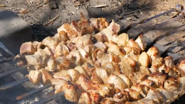 Muitos pedaços de carne em espetos assam-se em uma fogueira. Um prato de carne shish ou carne grelhada é assada na natureza. Um piquenique no campo — Vídeo de Stock