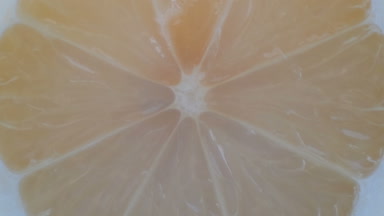 Kesilmiş limon makro yakın çekim beyaz arka plan üzerinde görünümü