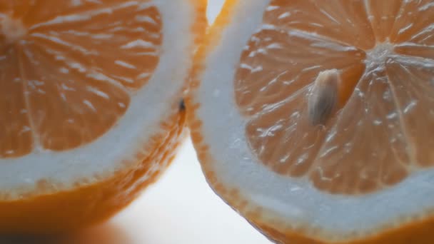 Geschnittene orangefarbene Makro Nahaufnahme auf weißem Hintergrund — Stockvideo