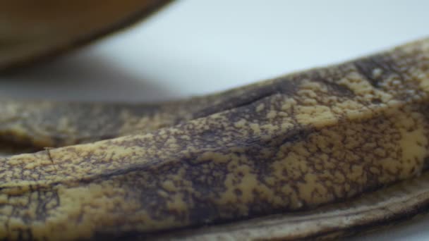 Piel de plátano negro seco estropeado sobre un fondo blanco macro vista de cerca — Vídeo de stock