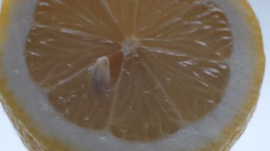 Kesilmiş limon makro yakın çekim beyaz arka plan üzerinde görünümü