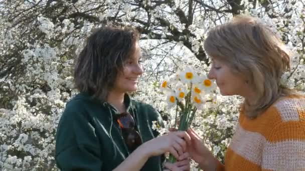 Portré felnőtt középkorú anya és felnőtt lánya, aki ad egy csokor Nárciszok anyák napján a háttérben egy virágzó fa — Stock videók