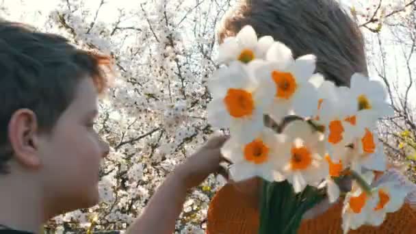 Сын-подросток представляет взрослой маме средних лет букет белых нарциссов на фоне цветущего дерева, День матери — стоковое видео