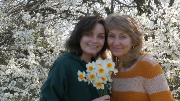 Filha adulta e mãe sorriem um ao outro na primavera contra uma árvore florescente. A filha beija a mãe no Dia das Mães — Vídeo de Stock