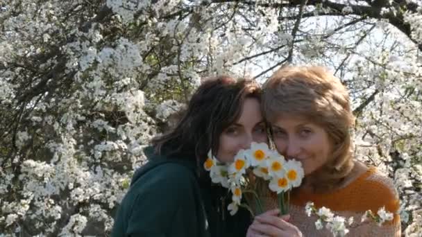 Felnőtt középkorú anya portréja és felnőtt lánya belélegző az illatát Nárciszok virágok az anyák napja egy virágzó fa háttér — Stock videók
