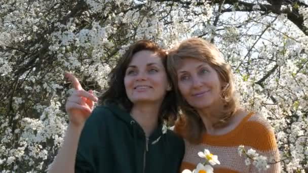 Portrait of adult middle-aged mother and her adult daughter who Look around and smile happily on Mothers Day against the background of a flowering tree — Stock Video