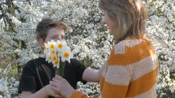 Dospívající syn představuje pro dospělé ve středním věku maminka kytici bílých narcisů na pozadí Kvetoucí strom, den matek — Stock video