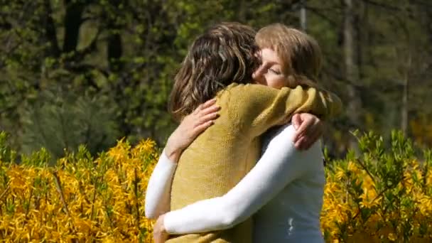 An adult daughter runs up and meets an elderly adult mother hugging her and kissing her. Spring Mothers Day — Stock Video