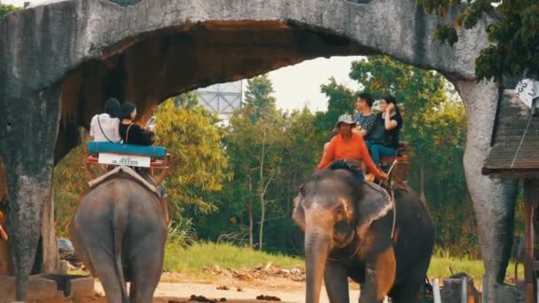 PATTAYA, TAILANDIA - 26 DE DICIEMBRE DE 2017: Elefantes en la aldea de elefantes. Los elefantes en los que viajan los turistas — Vídeos de Stock