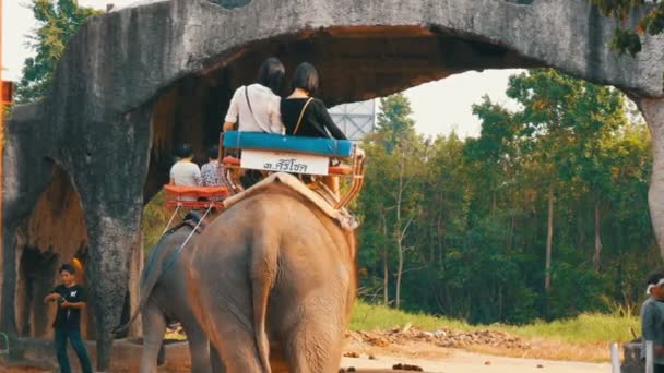 PATTAYA, TAILANDIA - 26 DE DICIEMBRE DE 2017: Elefantes en la aldea de elefantes. Los elefantes en los que viajan los turistas — Vídeos de Stock