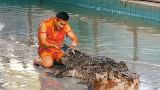 Pattaya, Thailand - 30 December 2017: Djur tränare gör en show med krokodiler. Crocodile farm Pattaya, Thailand. — Stockvideo