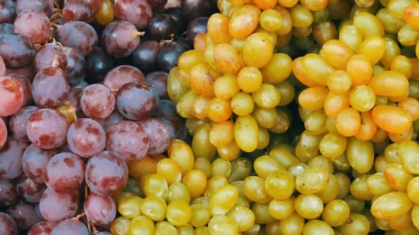Racimos frescos maduros de uvas oscuras y blancas en el mostrador — Vídeos de Stock