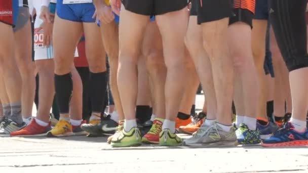 Le 21 avril 2018 - Kamenskoye, Ukraine : De nombreux coureurs de marathon se tiennent debout avant le début de la course de marathon — Video