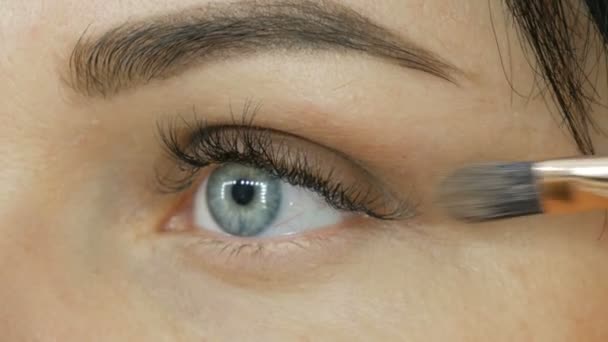 Maquiagem dos olhos com escova especial. Olho close-up de cor azul com pestanas longas — Vídeo de Stock