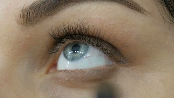 Oog make-up met speciale borstel en grijze oogschaduw. Close-up oog van blauwe kleur met lange wimpers — Stockvideo