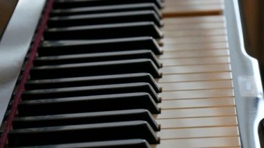 Piyanist olmadan kendi kendine çalan mistik bir piyano. Piyanonun tuşları kendileri çalar. Cadılar Bayramı konsepti.