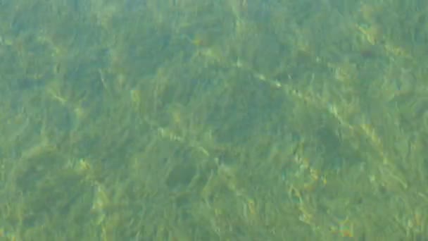 Fundo transparente com muitas algas verdes no Lago Tegernsee, Baviera. Montanha lago com água limpa em que os raios de sol quebrar — Vídeo de Stock