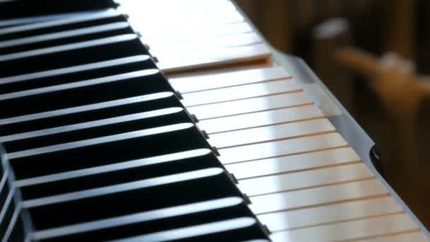 Rejtélyes önjátszó zongora zongorista nélkül. Maguk a zongora kulcsai játszanak. Halloween koncepció. — Stock videók