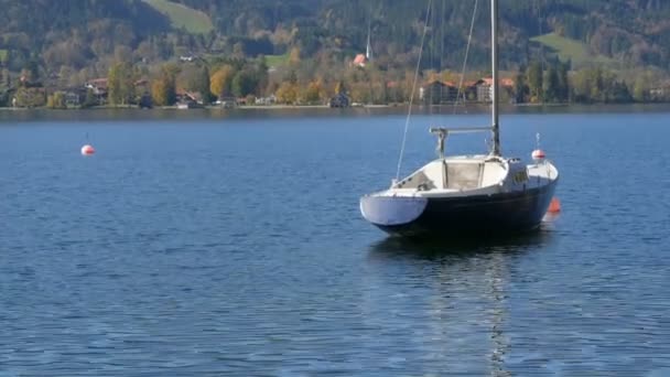 Funny cute black ducks swim through clear water in mountain lake Tegernsee, Bavaria against the backdrop of the beautiful bavarian alps — Stock Video