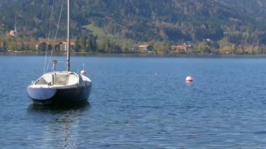 Güzel Bavyera Alpleri 'nin arka planına karşı Tegernsee, Bavyera dağlarındaki berrak sularda yüzen komik siyah ördekler.