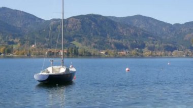 Güzel Bavyera Alpleri 'nin arka planına karşı Tegernsee, Bavyera dağlarındaki berrak sularda yüzen komik siyah ördekler.