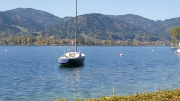 Funny cute black ducks swim through clear water in mountain lake Tegernsee, Bavaria against the backdrop of the beautiful bavarian alps — Stock Video