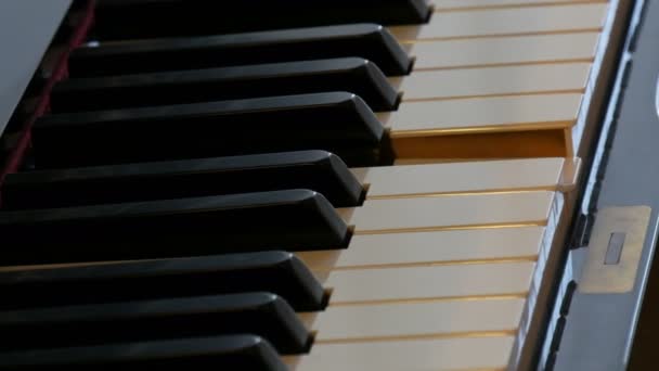 Γκρο πλαν άποψη του μυστικιστικού αυτο-παίζοντας πιάνο χωρίς πιανίστα. Το ίδιο το πιάνο παίζει. Απόκριες. — Αρχείο Βίντεο
