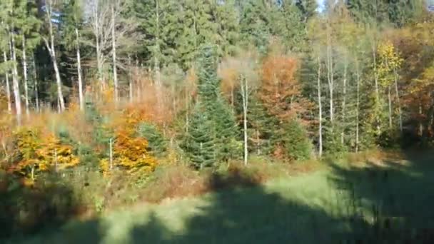 Autumn landscape from the window of passing train. Colorful foliage on a tree in autumn in October. Bavarian landscape — Stock Video