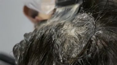 Özel fırça ile saçlarını kendini aidat orta yaşlı bir kadının büyümüş gri kökleri, yakın görünüyor. Beyaz bir arka planda bir kadınların kafası koyu saçlı ve beyaz kökleri. Saç Bakımı yakın görünüm