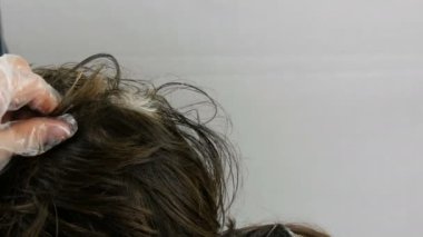 Evde özel boya ve fırça ile saç boyaları kadınların kökleri gri saç