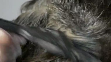 Özel fırça ile saçlarını kendi renklendiren orta yaşlı bir kadının büyümüş gri kökleri. Beyaz bir arka planda bir kadınların kafası koyu saçlı ve beyaz kökleri. Salon yakın görünüm saç bakımı.