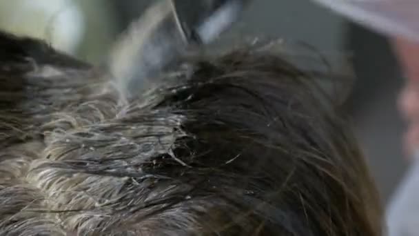 Capelli grigi alle radici delle donne, che si tinge i capelli con vernice speciale e spazzola a casa — Video Stock