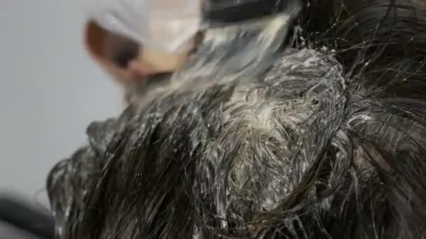 As raízes cinzentas cobertas de uma mulher de meia-idade que se penteia com escova especial, olha de perto. Cabelo escuro e raízes brancas de uma cabeça de mulher em um contexto branco. Cuidados com o cabelo vista de perto — Vídeo de Stock