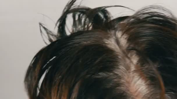 Η υπερφυής γκρίζα ρίζα μιας μεσήλικη γυναίκα που χρωματίζει τα μαλλιά της με ειδική βούρτσα. Σκούρα μαλλιά και λευκές ρίζες ενός γυναικείου κεφαλιού σε λευκό φόντο. Περιποίηση μαλλιών στο κομμωτήριο Κλείστε θέα. — Αρχείο Βίντεο