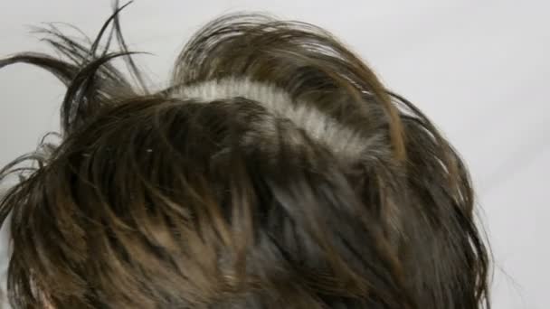 Las raíces grises de una mujer de mediana edad que se tiñe el cabello con un cepillo especial. Cabello oscuro y raíces blancas de una cabeza de mujer sobre un fondo blanco. Cuidado del cabello en el salón vista de cerca . — Vídeo de stock