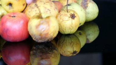 Siyah arka planda çok renkli çürümüş çürük elmalar..