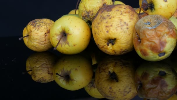 Veelkleurige rotte bedorven gerijpte appels op zwarte achtergrond. — Stockvideo