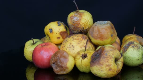 Multicolored rotten spoiled ripened apples on black background. — Stock Video