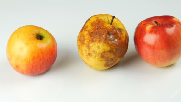 Multicolored rotten spoiled ripened apples and ripe apple on white background. — Stock Video