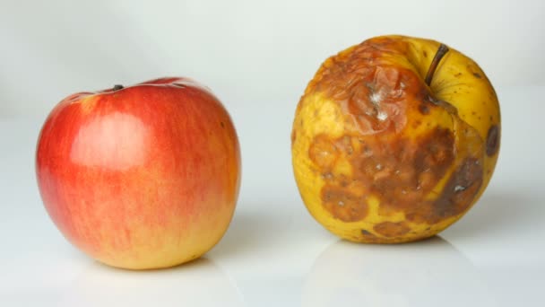 Женская рука берет спелые сочные и свежие яблоки и кладет спелые гнилые испорченные яблоки на белый фон . — стоковое видео