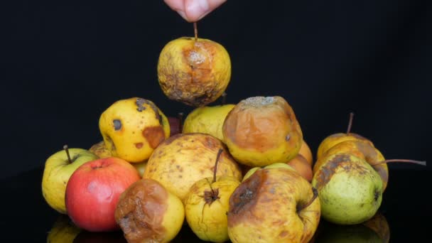 Multicolorido podre estragado amadurecido maçãs no fundo preto . — Vídeo de Stock