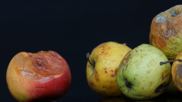 Mehrfarbige faule verdorbene reife Äpfel auf schwarzem Hintergrund. — Stockvideo