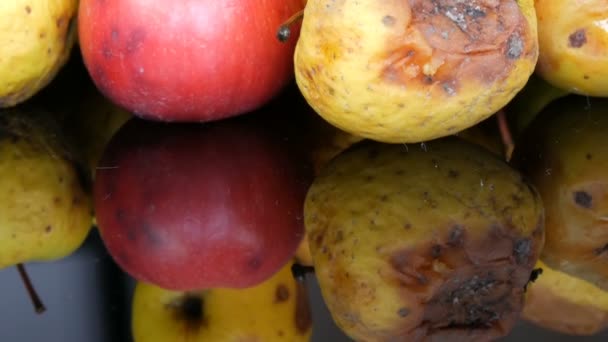 Multicolorido podre estragado amadurecido maçãs no fundo preto . — Vídeo de Stock